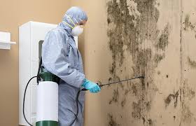 Mold Removal for HVAC Installations in Bayshore Gardens, FL